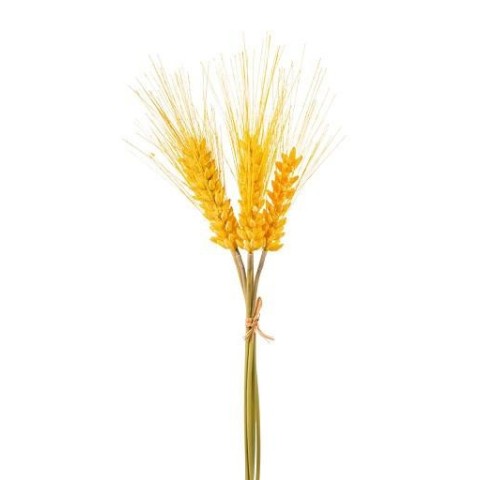 BOUQUET 5 SPIGHE DI GRANO YELL